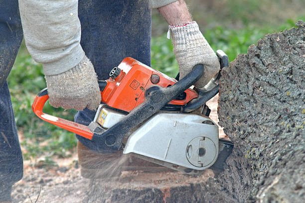 Lawn Irrigation Installation and Maintenance in Clinton, NC